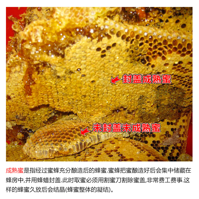 天水纯正深山野生蜂蜜天然自产自销0添加百寿康旗舰店