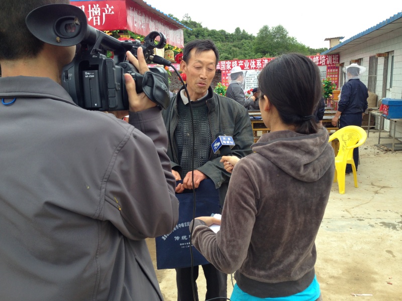 天水纯正深山野生蜂蜜天然自产自销0添加百寿康旗舰店