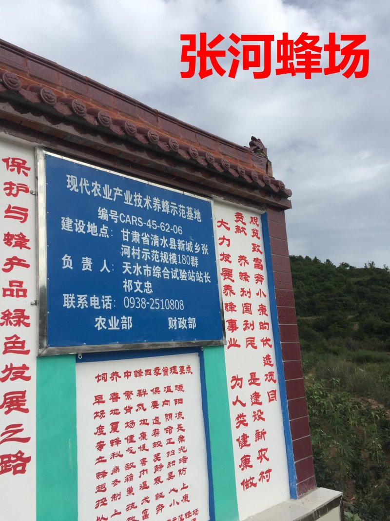 天水纯正深山野生蜂蜜天然自产自销0添加百寿康旗舰店