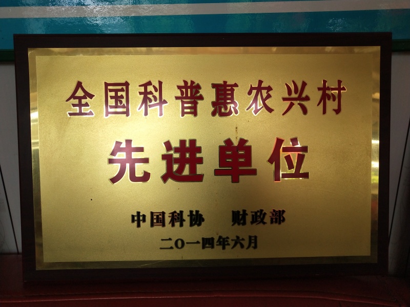 天水纯正深山野生蜂蜜天然自产自销0添加百寿康旗舰店