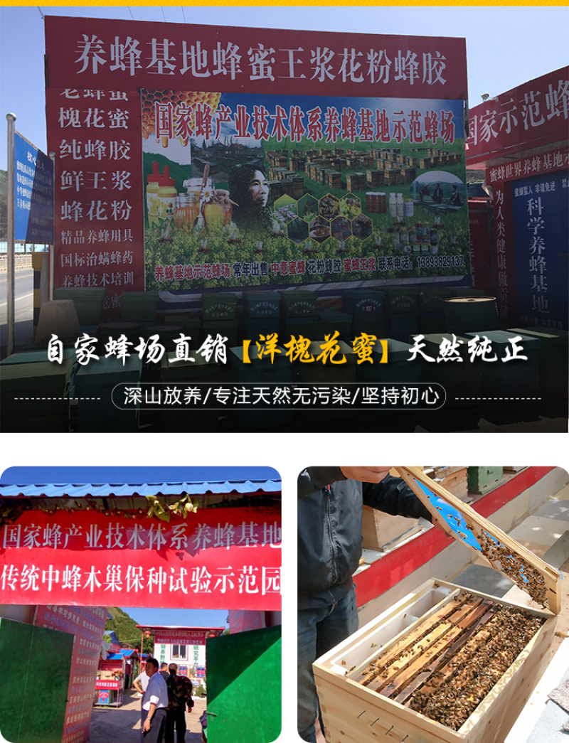 天水纯正秦岭深山洋槐花蜜天然成熟洋槐蜜0添加百寿康旗舰店