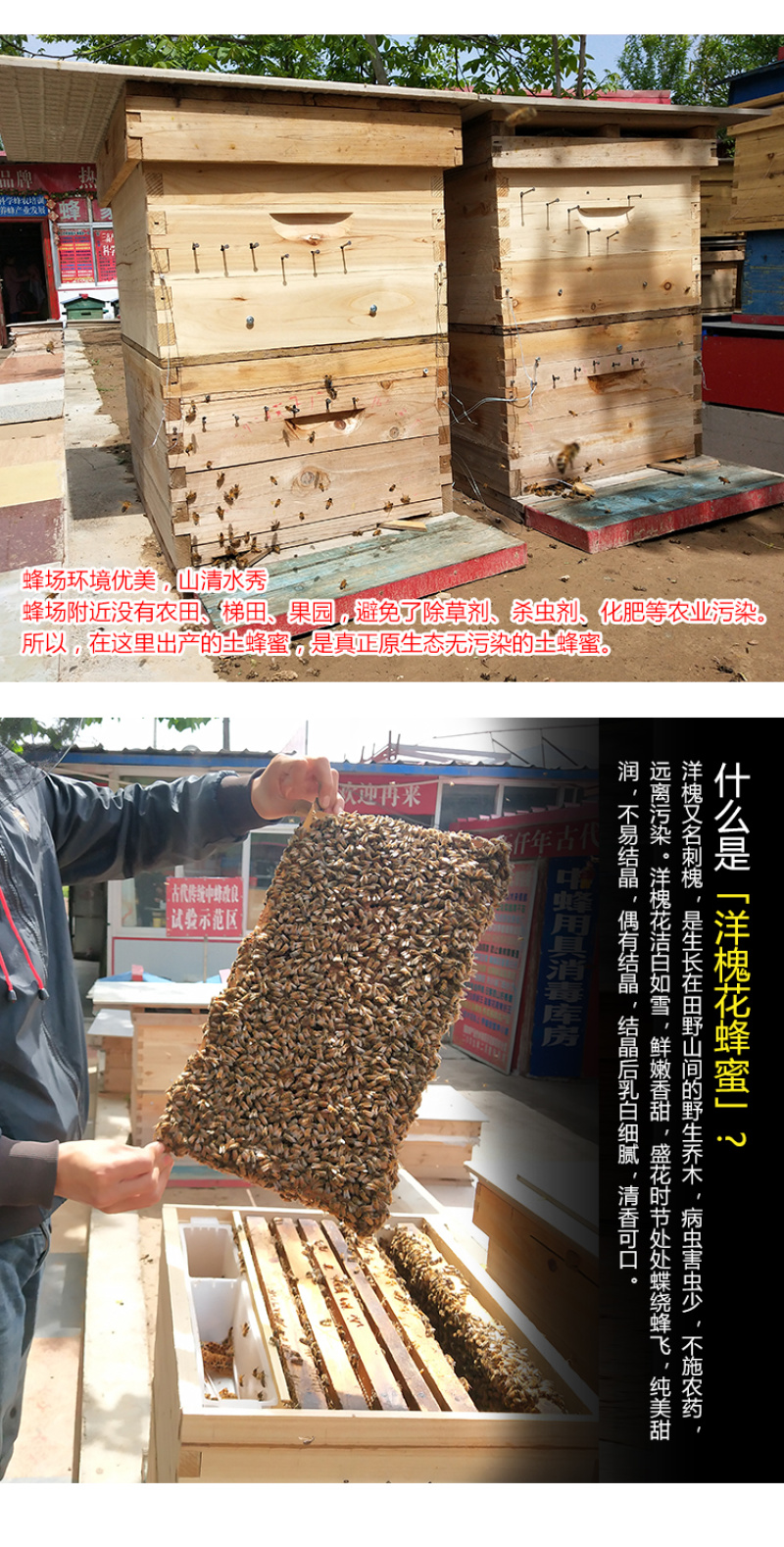 天水纯正秦岭深山洋槐花蜜天然成熟洋槐蜜0添加百寿康旗舰店