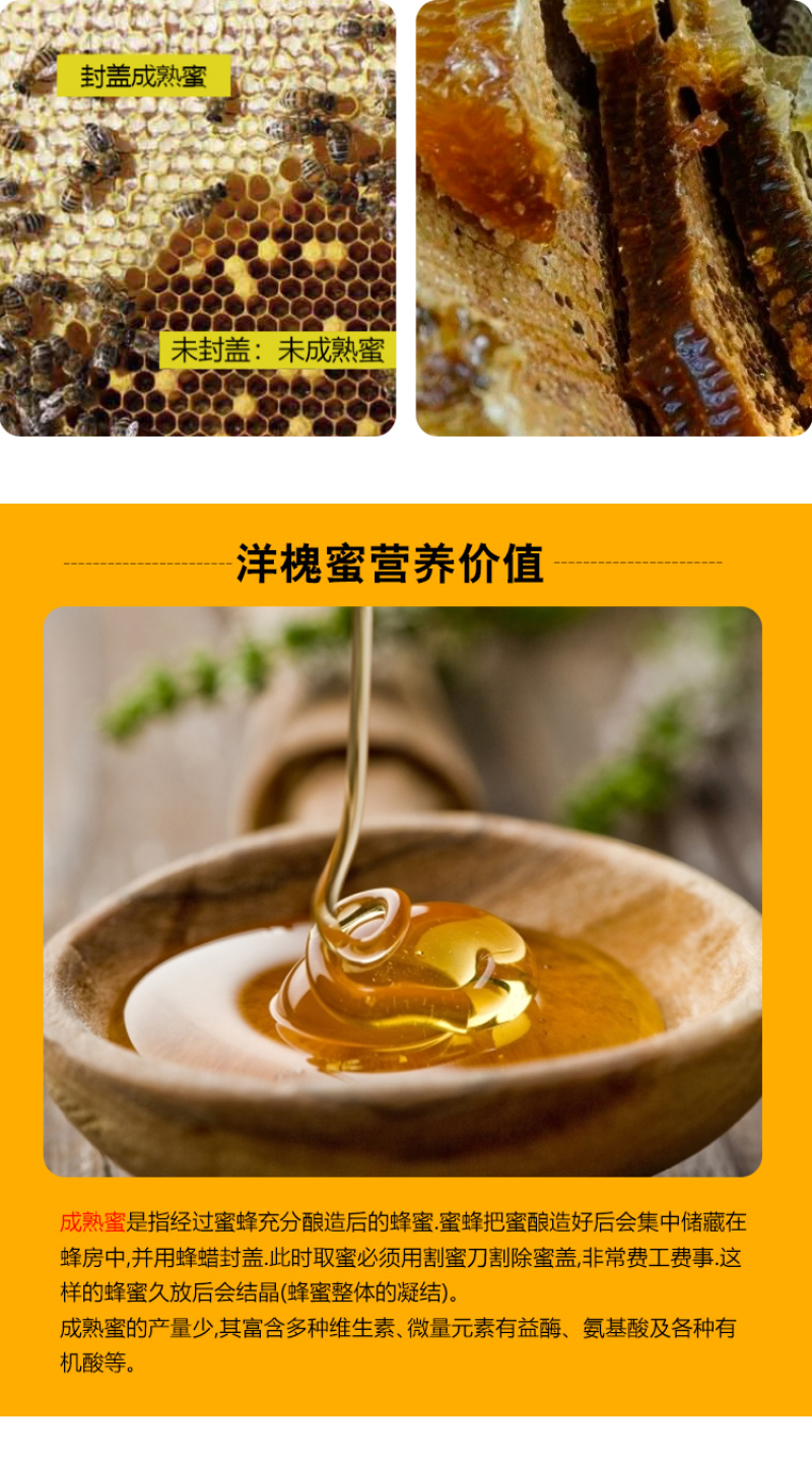 天水纯正秦岭深山洋槐花蜜天然成熟洋槐蜜0添加百寿康旗舰店