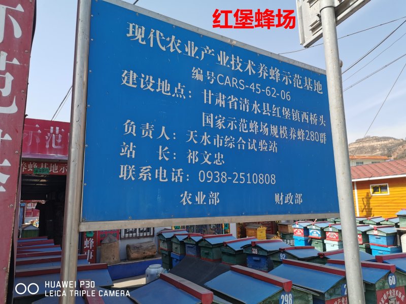 天水纯正秦岭深山洋槐花蜜天然成熟洋槐蜜0添加百寿康旗舰店