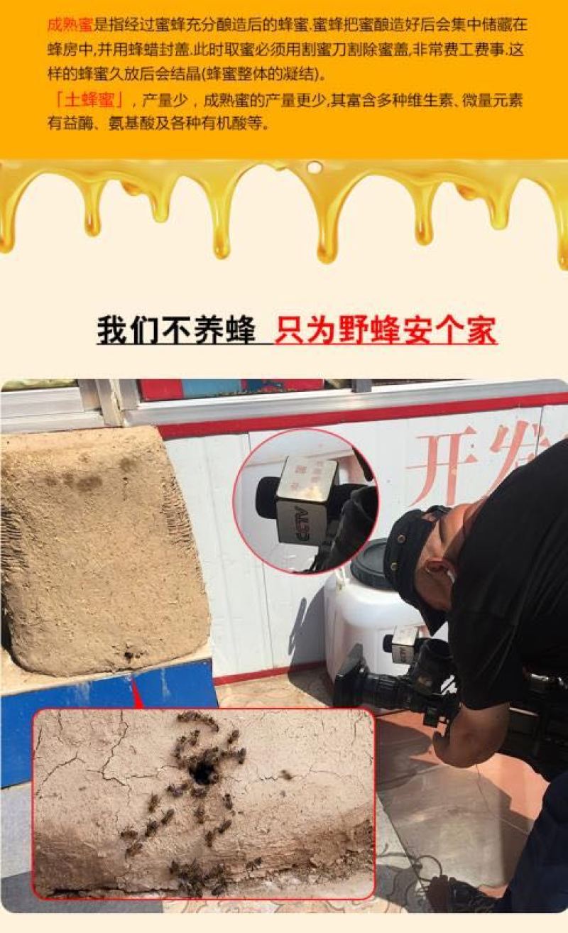 正宗秦岭深山纯正杂花蜜成熟蜂蜜0添加