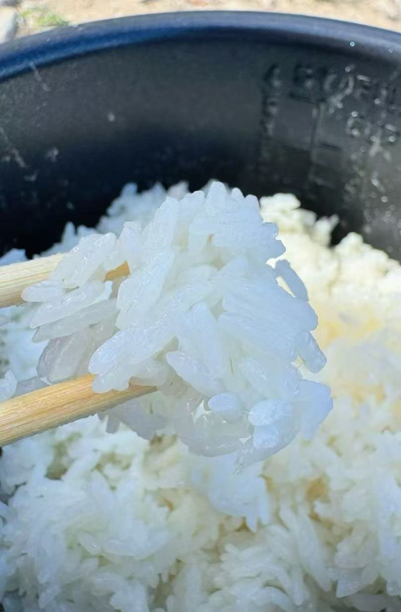 五常大米稻花香2号大米企业福利，主播带货，餐饮食堂用米