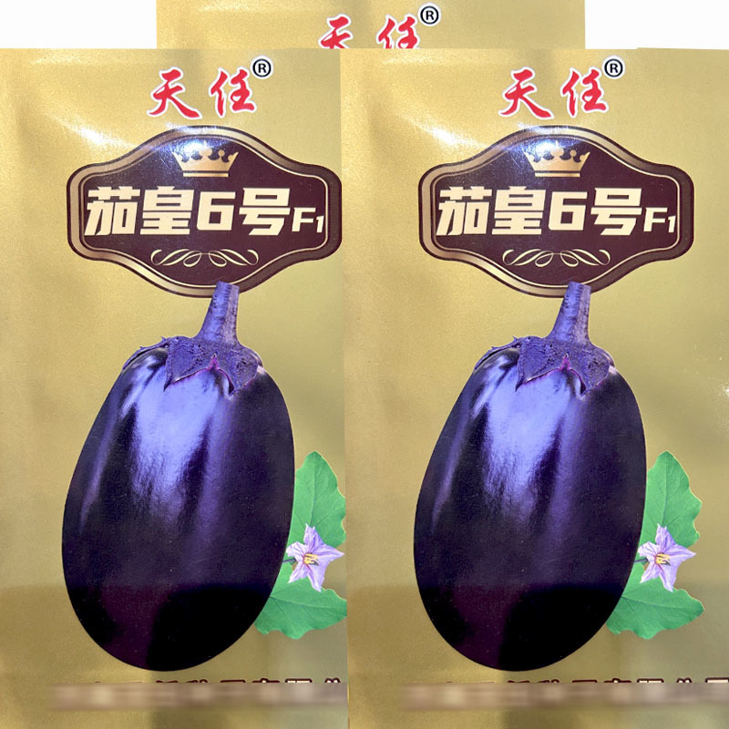 牛心罐茄子种子灯泡型茄子5g茄皇6号做果强基地专用