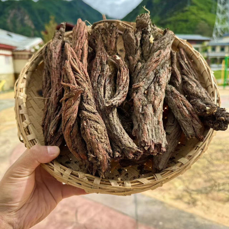 西藏紫丹参藏丹参产地货源藏丹参大货批发丹参