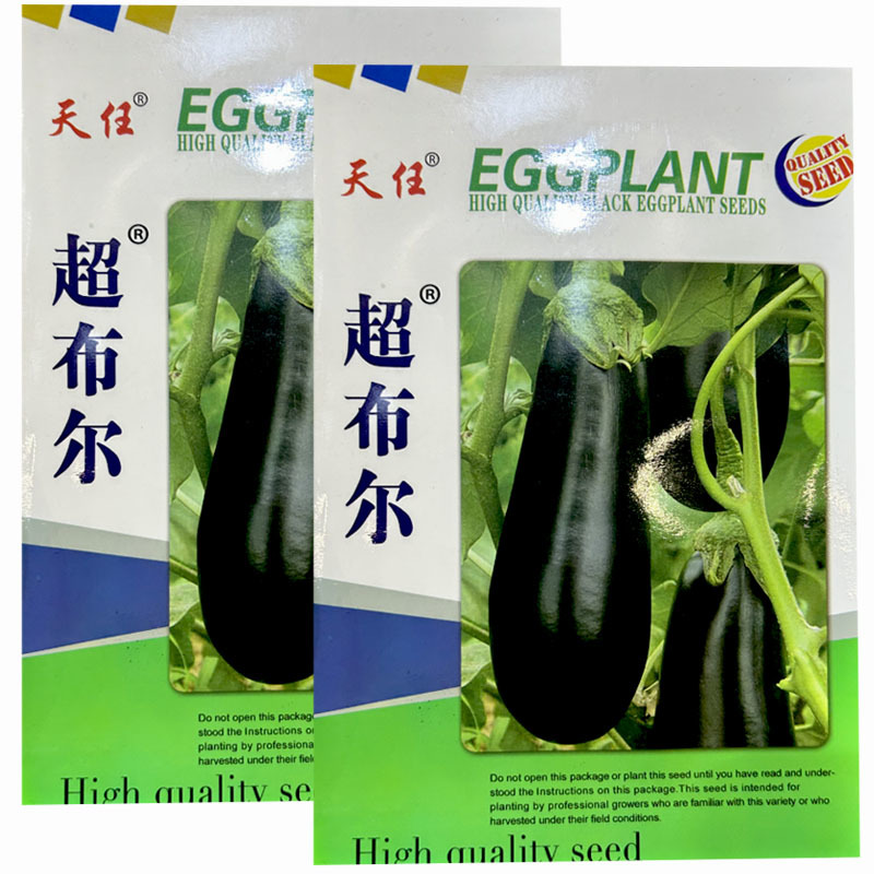 绿把茄子种子超布尔绿萼绿把长茄种子5g黑亮长棒茄子种子
