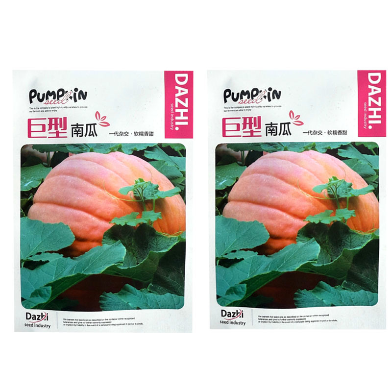 巨型大南瓜种子10粒一代杂交特大南瓜种子软糯香甜观赏兼食