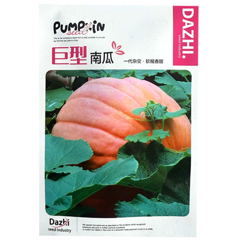 巨型大南瓜种子10粒一代杂交特大南瓜种子软糯香甜观赏兼食