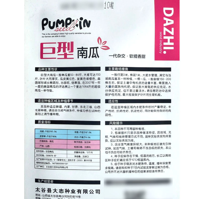 巨型大南瓜种子10粒一代杂交特大南瓜种子软糯香甜观赏兼食