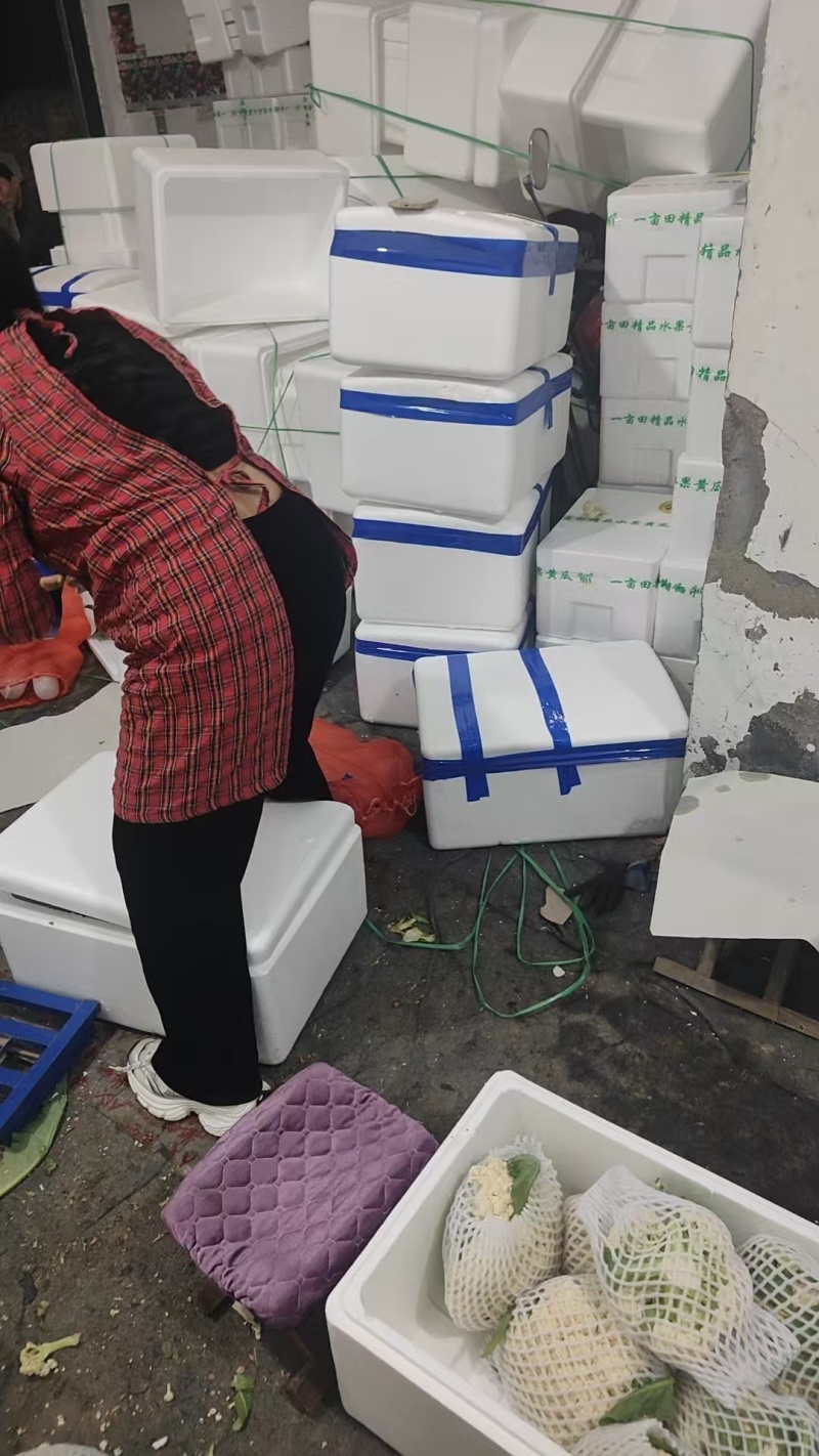山东精品花菜大量上市产地直发价格优惠品质保证欢迎来电