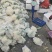 山东精品花菜大量上市产地直发价格优惠品质保证欢迎来电