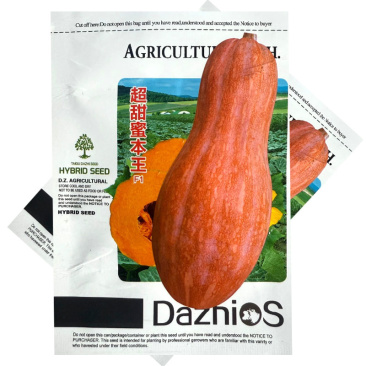 超甜蜜本南瓜王种子8g肉厚橘红甘甜细嫩爽口抗病耐贮运