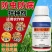 10%噻虫咯霜灵种子拌种剂种子包衣茎基腐病蚜虫蓟马烂秧病