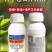 10%噻虫咯霜灵种子拌种剂种子包衣茎基腐病蚜虫蓟马烂秧病