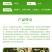 10%噻虫咯霜灵种子拌种剂种子包衣茎基腐病蚜虫蓟马烂秧病