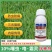 噻虫咯霜灵拌种剂水稻玉米小麦花生大蒜大豆专用拌种包衣剂
