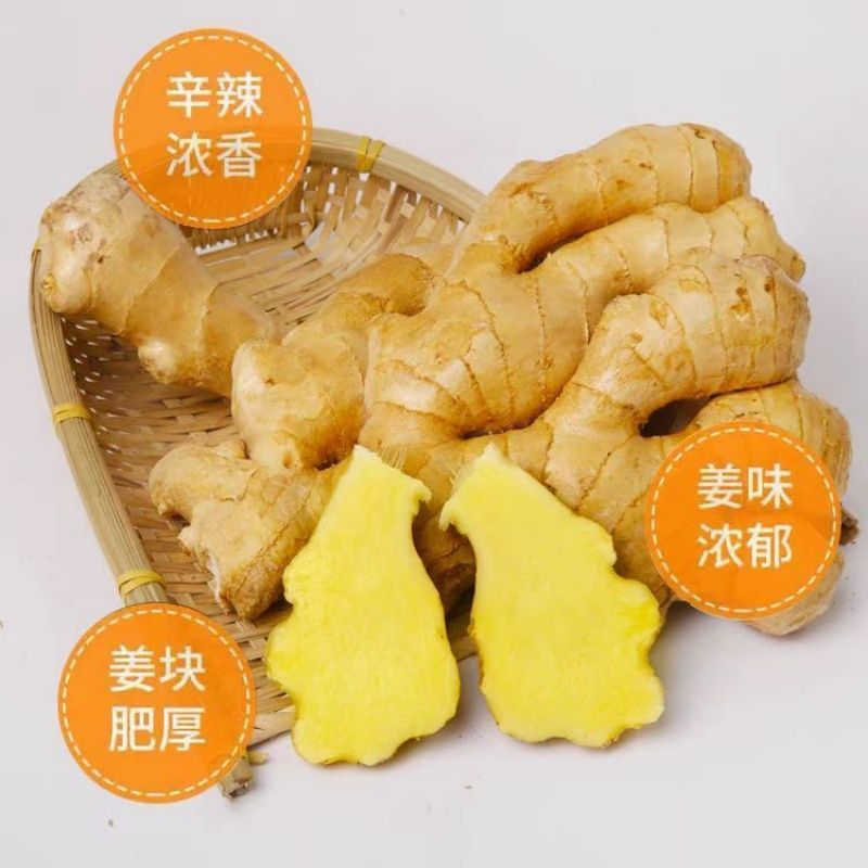 【热卖】大黄姜生姜产地直供一件代发视频看货选货