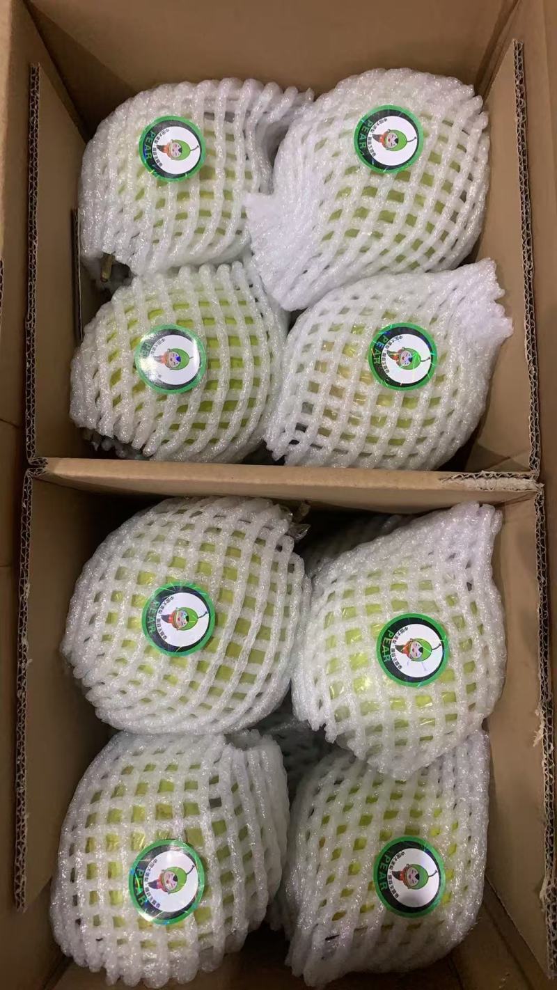 隰县玉露香梨品质保证货源充足量大从优欢迎来电