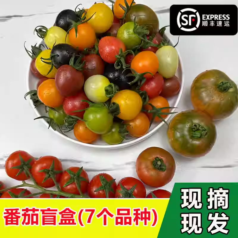 新鲜彩色小番茄圣女果混合装七彩七色圣女果酸甜多汁现摘现发