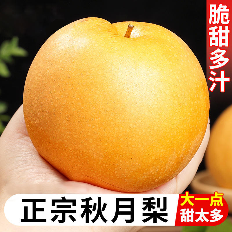 正宗山东莱阳秋月梨子4.6斤当季新鲜水果整箱顺丰
