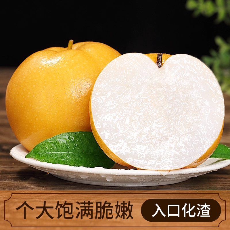 正宗山东莱阳秋月梨子4.6斤当季新鲜水果整箱顺丰