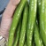 【实力推荐】泡椒鲜辣椒量大质优规格齐全欢迎各大老板采购