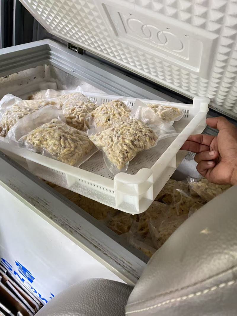 云南冷冻蜂蛹一手货源质量保证货源充足全国发货欢迎订购