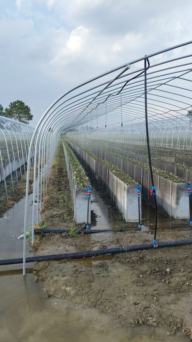 吊挂旋转喷头套装蔬菜喷灌防滴雾化喷头可按需定制