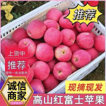 《精选》高山套袋红富士苹果/甘肃苹果/冰糖心苹果/上货中