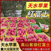 《红富士苹果》天水高山套袋红富士/现摘现发/产地代发全国
