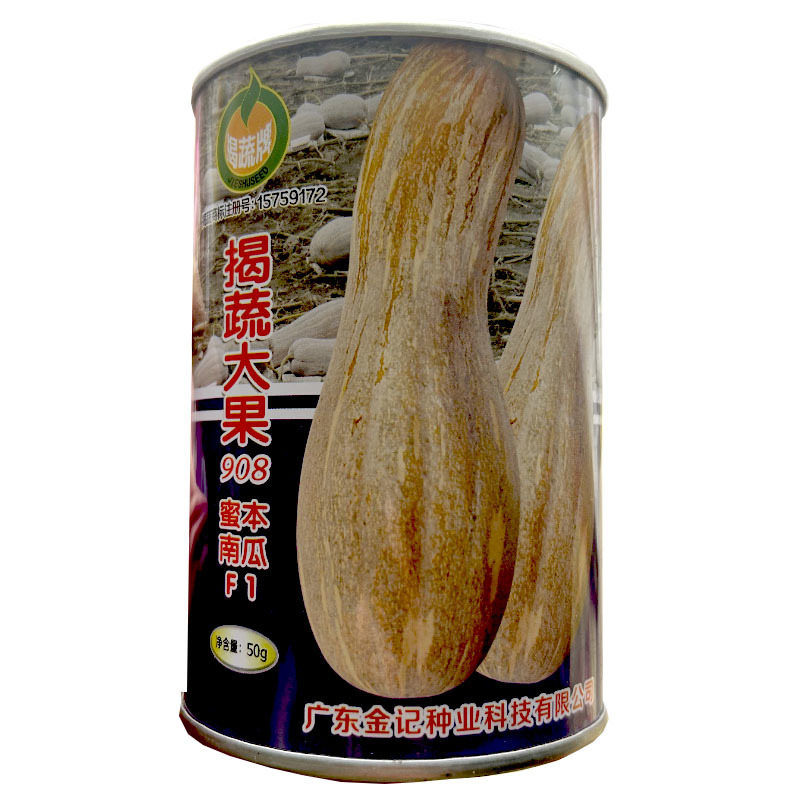 蜜本大果南瓜种子908中熟高产甜面肉厚倭瓜基地品种