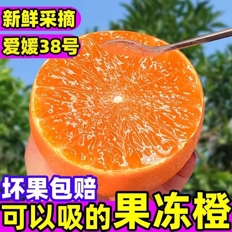 爱媛38号果冻橙品质保证服务周到产地直发价格美丽