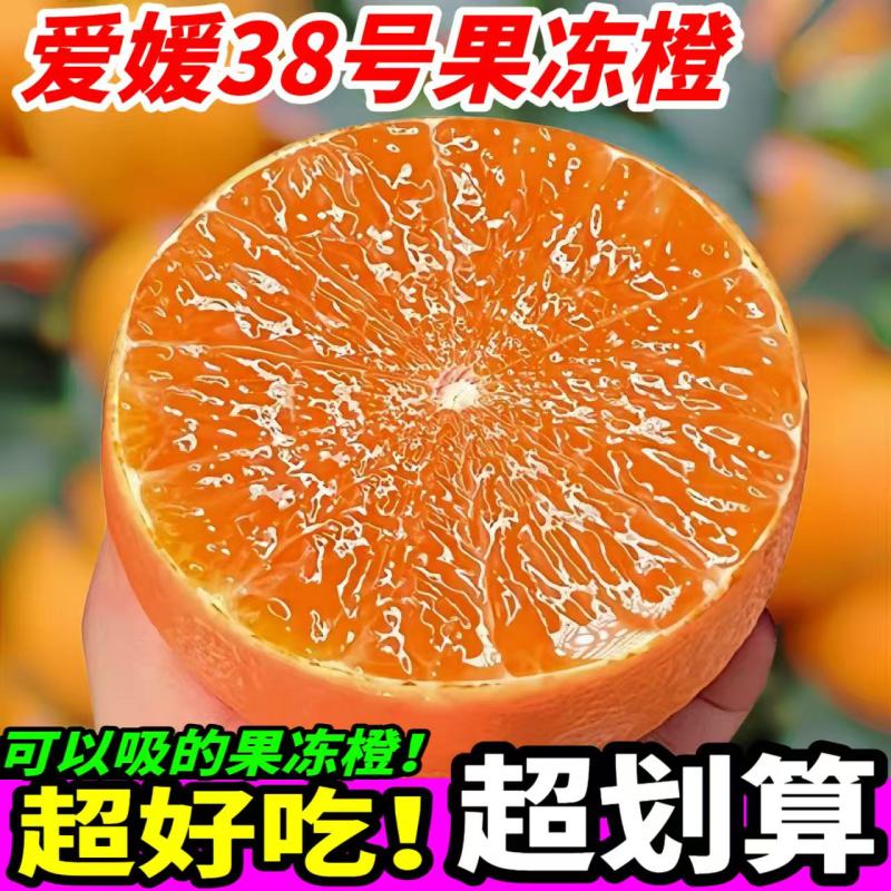 爱媛38号果冻橙品质保证服务周到产地直发价格美丽