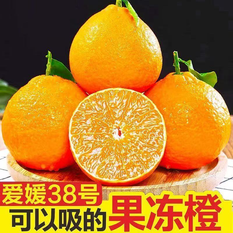 爱媛次果，小果，商超果，电商，承接一件代发。服务周到