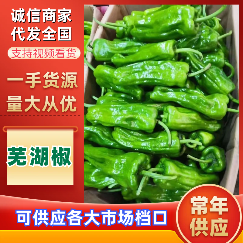 【放心购买】精品芜湖椒江苏薄皮辣椒产地直发对接全国市场