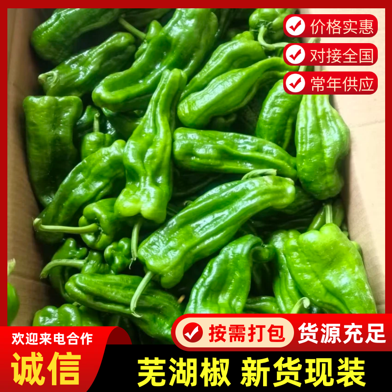 【江苏芜湖椒】精品芜湖椒产地直供对接市场电商商超