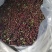包邮25年新花椒香麻味足各种规格大量供应欢迎采购商联系