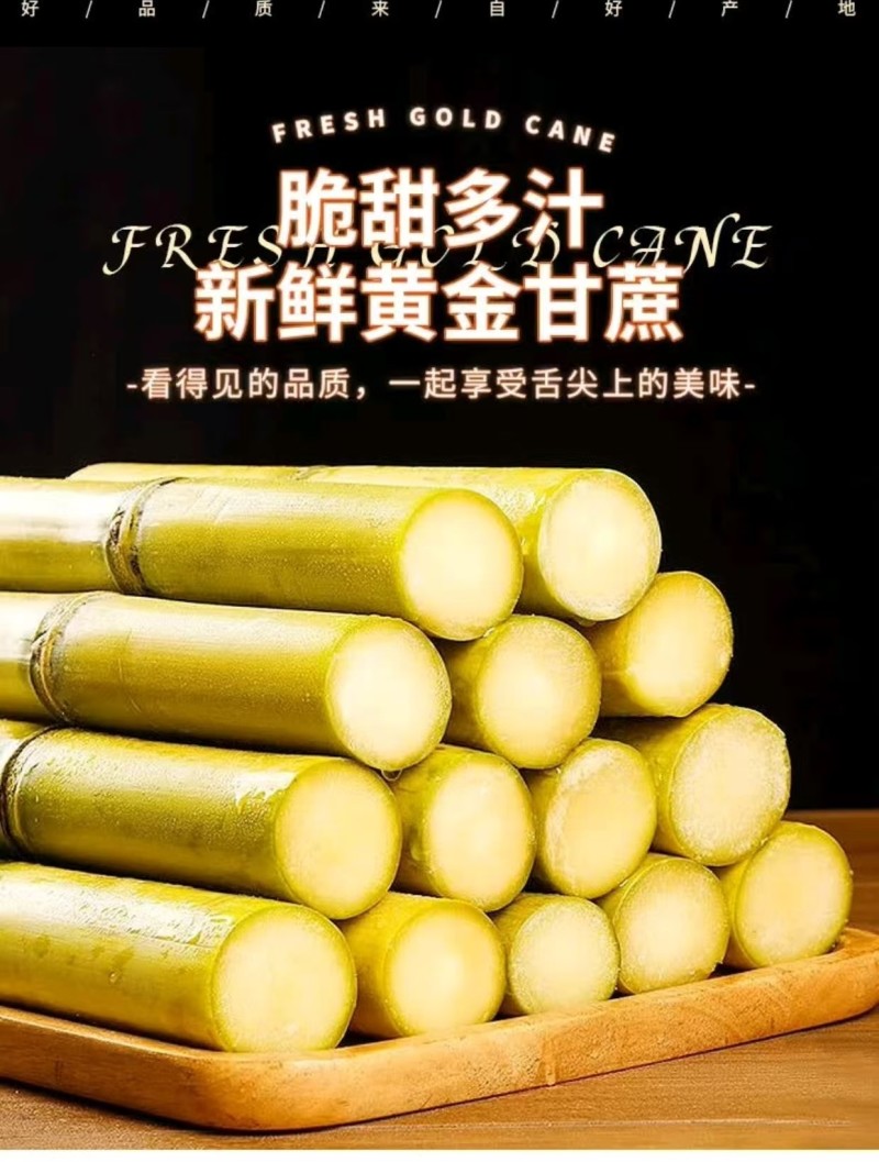 黄金甘蔗一件代发电商