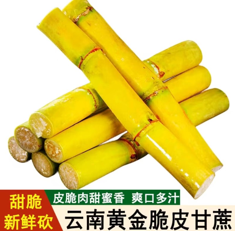 黄金甘蔗一件代发电商