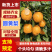 安徽黄梨/精品晚秋黄梨/一件代发电商团购便宜