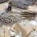 甘蔗广西黑皮甘蔗万亩基地全国发货支持一件代发量大从优