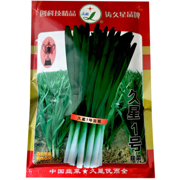 久星1号韭菜种子叶宽直立抗病抗寒休眠基地专用品种