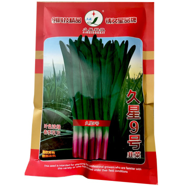 久星9号韭菜种子宽叶独根红250g休眠春秋种植紫红根