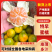 【四川蜜橘】资阳蜜桔/精品蜜橘/一件代发日供应2万单便宜
