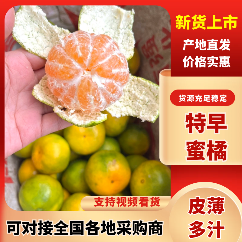 【四川蜜橘】资阳蜜桔/精品蜜橘/一件代发日供应2万单便宜