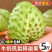 牛奶凤梨释迦果大量有货代发全国精品直供