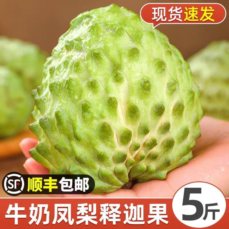 牛奶凤梨释迦果大量有货代发全国精品直供